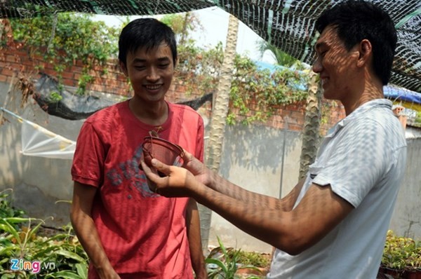 Tận thấy thú chơi 'cây ăn thịt' ở Sài Gòn - ảnh 7