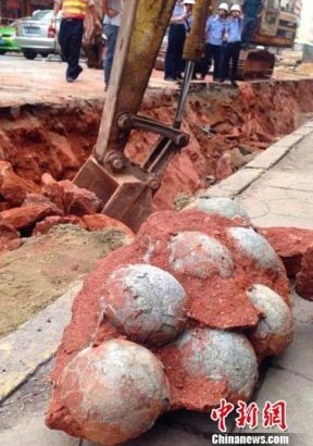 Trung Quốc: Phát hiện hàng chục quả trứng khủng long dưới nền đường - ảnh 4