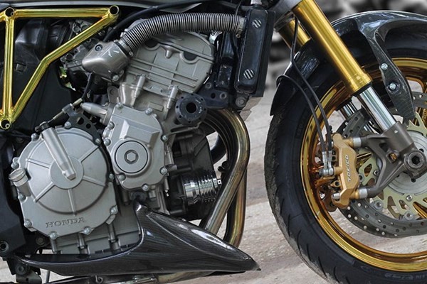 Tận thấy Honda Hornet 600 mạ vàng 24k ở Việt Nam - ảnh 9