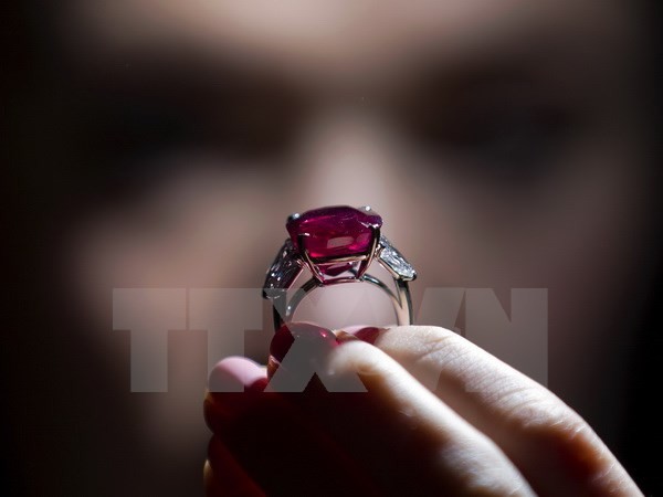 Chiêm ngưỡng viên hồng ngọc đắt nhất thế giới tại Thụy Sĩ - ảnh 2