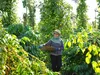 Xuất khẩu cà phê lập đỉnh, nông dân cần làm gì để giữ vững?