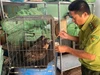 Người đàn ông bắt gặp con chim lạ khi ra vườn tưới rau