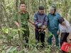 1 người dân ở Khánh Hòa bắt gặp con tê tê trên đường đi làm rẫy