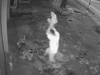 Camera ghi lại cảnh cụ ông bán vé số bị đánh đập, lục túi lấy tài sản