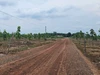 Tây Ninh: Cao tốc Gò Dầu - Xa Mát vốn gần 9.826 tỉ đồng sắp khởi công