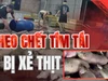 Điều tra: Thịt bẩn luồn lách đến bữa ăn - Kỳ 1: Heo chết tím tái bị xẻ thịt