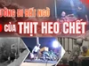 Điều tra: Thịt bẩn luồn lách đến bữa ăn - Kỳ 2: Heo chết được giao cho công ty suất ăn công nghiệp 