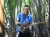Từ bỏ công việc lương cao, về quê ‘đánh thức’ mật dừa nước ven sông
