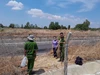 Phát hiện nghi can trộm cáp điện camera trên cao tốc Vĩnh Hảo - Phan Thiết