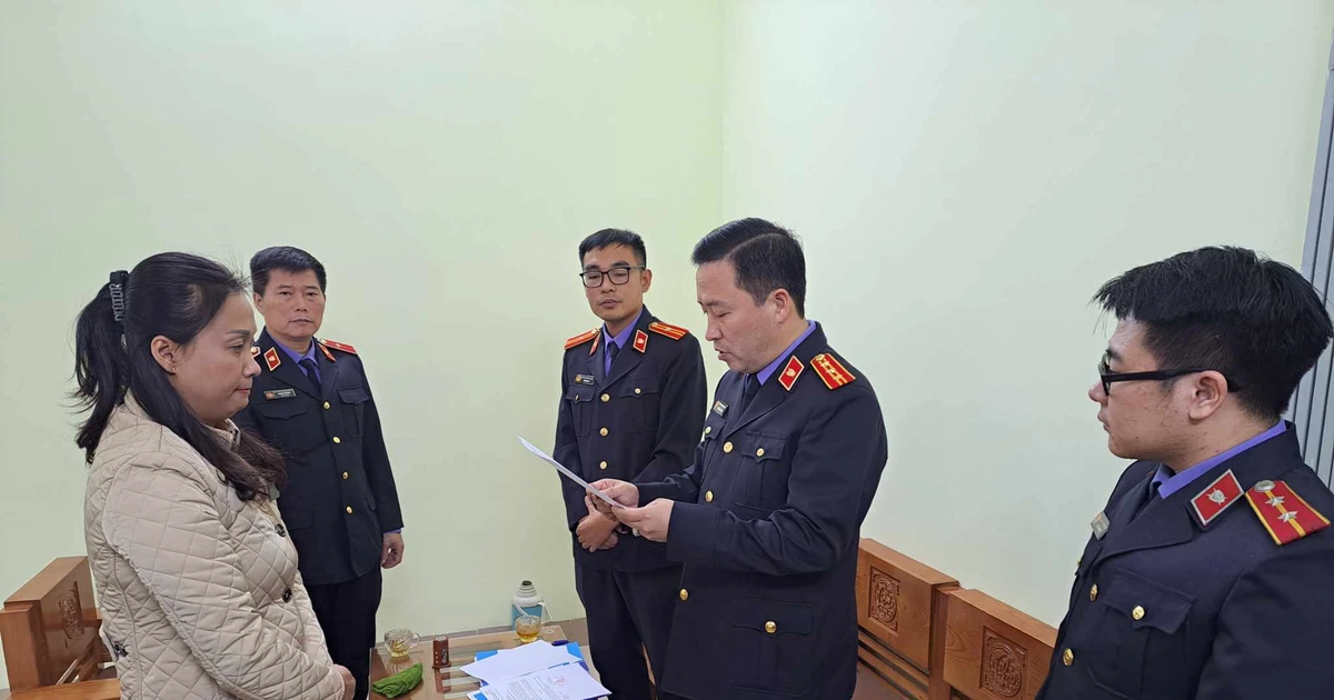 An executor of the Civil Judgment Enforcement Department in Hai Phong was arrested