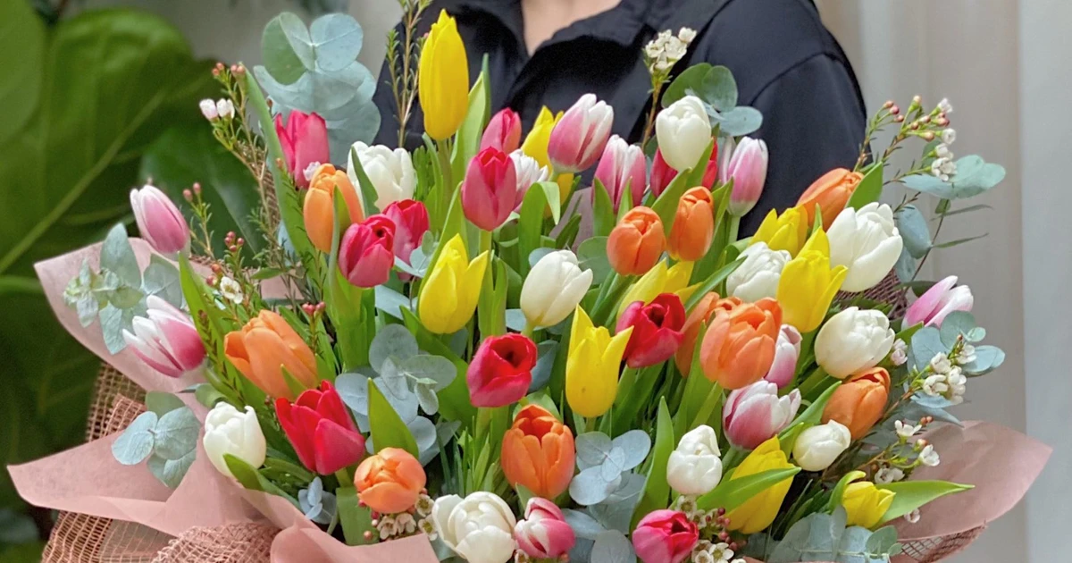 giá hoa tulip có tốt không