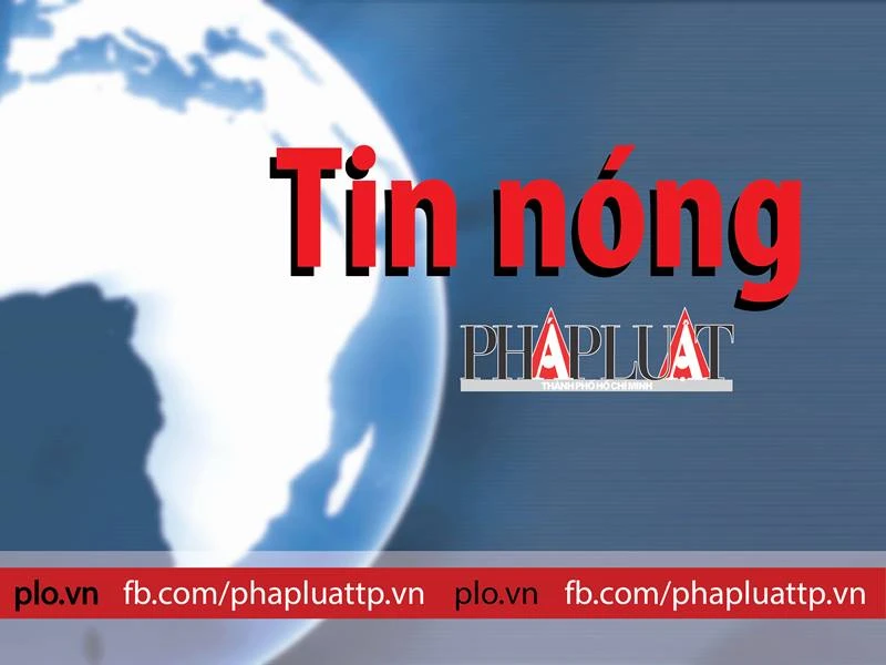 Bắt đường dây làm 3 loại giấy tờ giả ở TP.HCM Báo Pháp Luật TP. Hồ