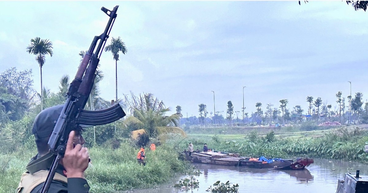plo.vn