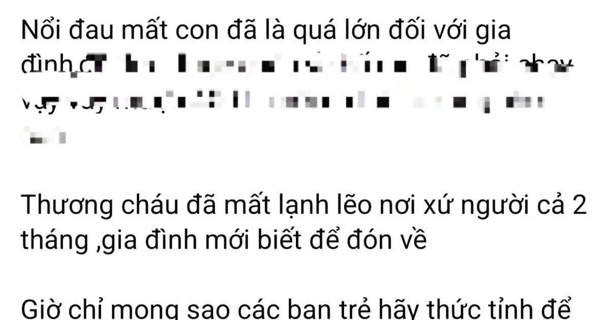 plo.vn
