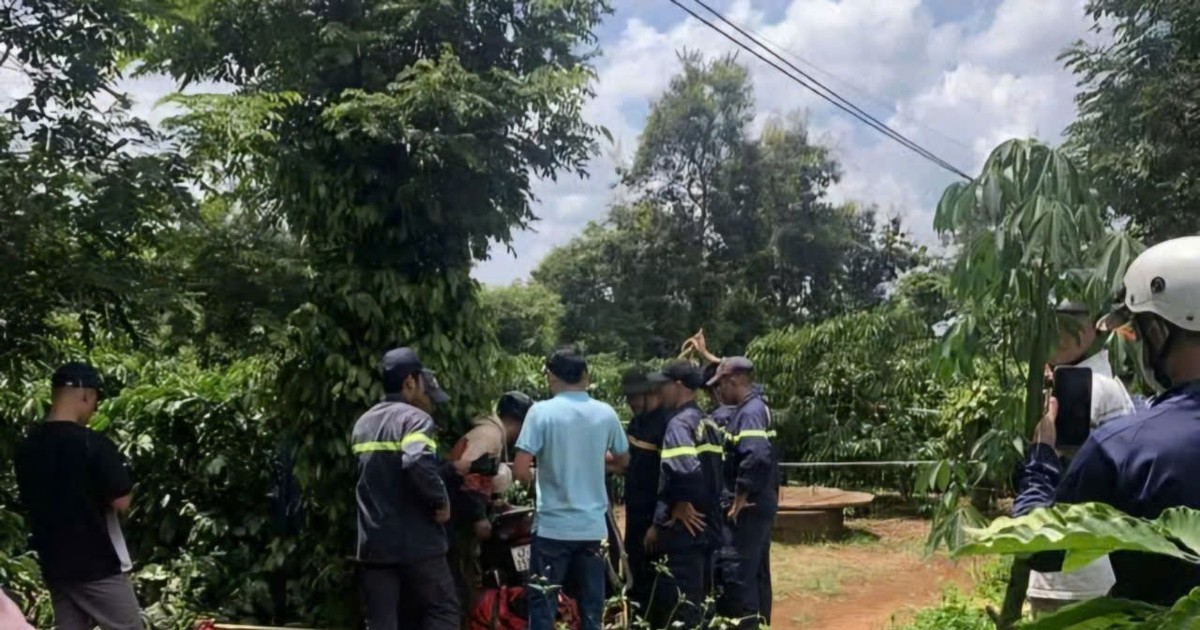 plo.vn