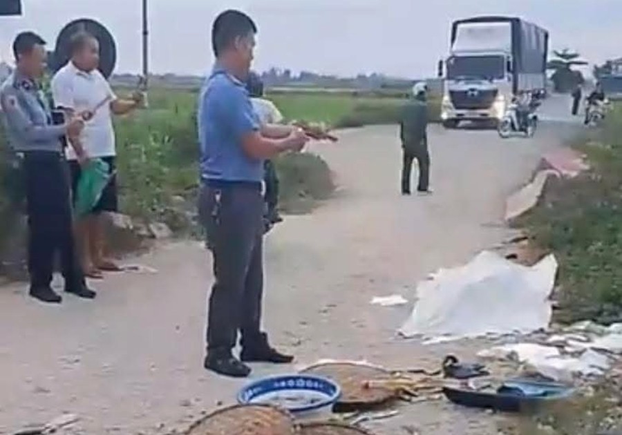 Tai nạn tàu hỏa và xe máy, người phụ nữ đi bán cá tử vong | Báo Pháp Luật  TP. Hồ Chí Minh