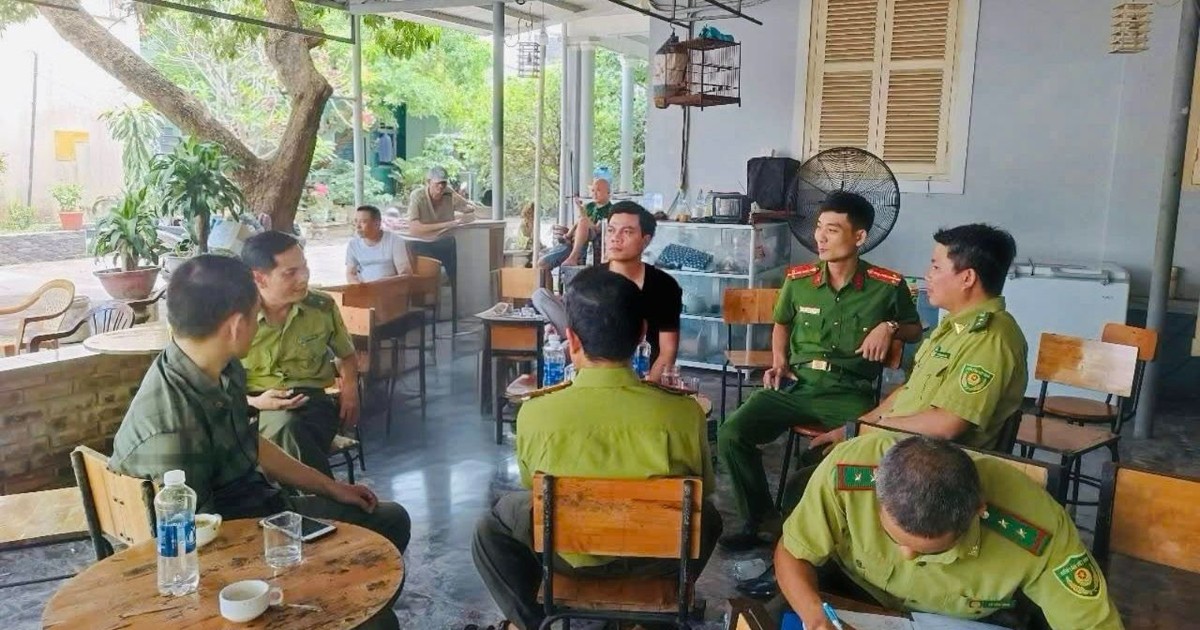 plo.vn