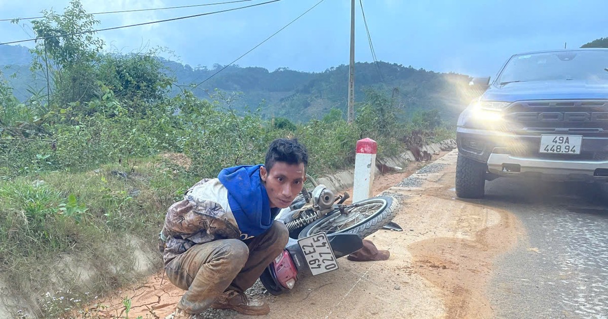 plo.vn