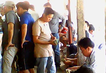 plo.vn