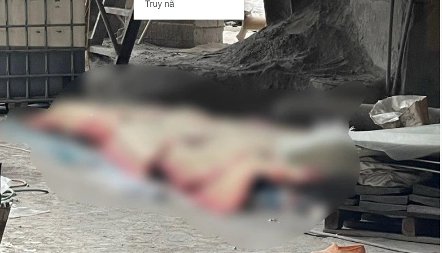 plo.vn