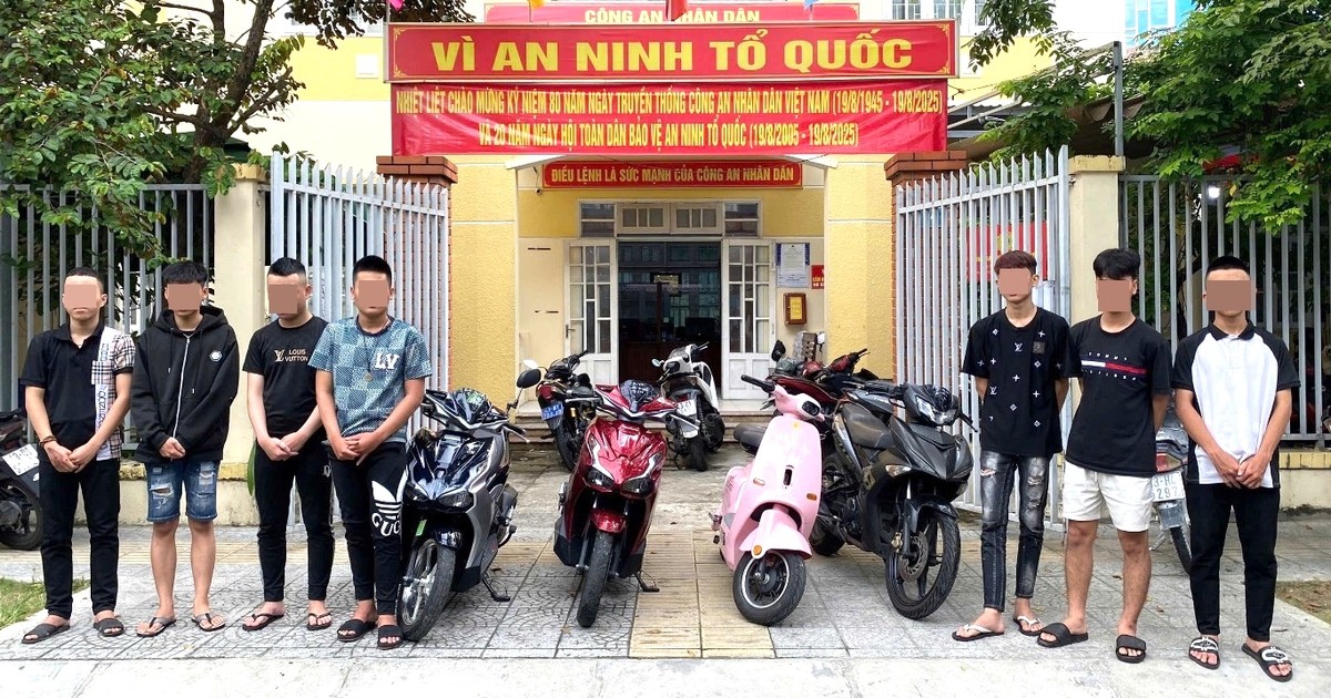 plo.vn
