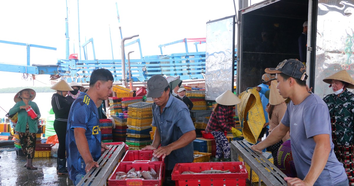 Cần Thơ sẽ hình thành Khu kinh tế Trần Đề, các cụm kinh tế biển đa ngành