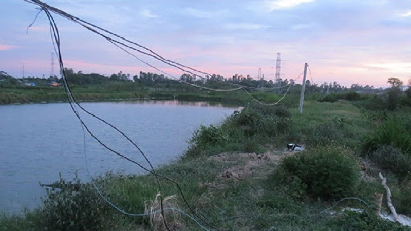 plo.vn