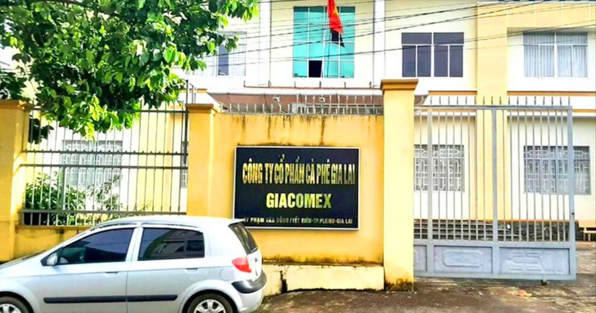 Kiến nghị chuyển hồ sơ công an điều tra sai phạm trong cổ phần hóa công ty cà phê
