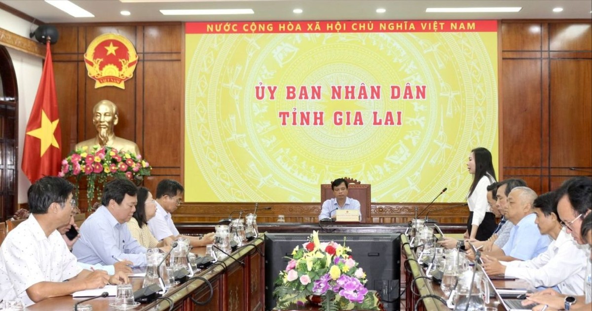 Vụ nghi ngộ độc ở Gia Lai: Bán 200 bánh mì, 89 người nhập viện