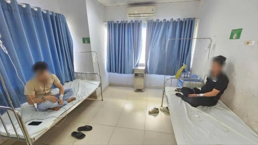 Cây môn trong món vếch bò khiến 3 thực khách nhập viện