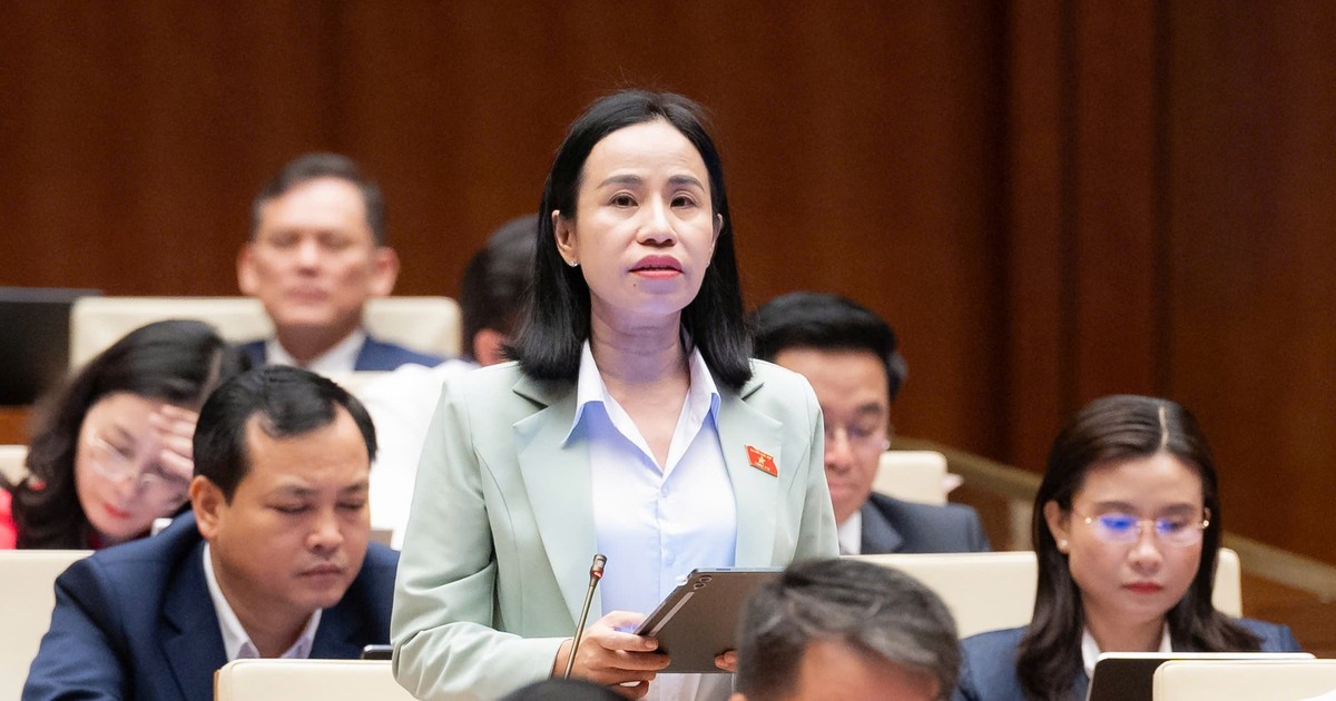 Đại biểu lo 'cú sốc' thuế xe điện từ 2031, nguy cơ sốt ảo rồi đóng băng thị trường