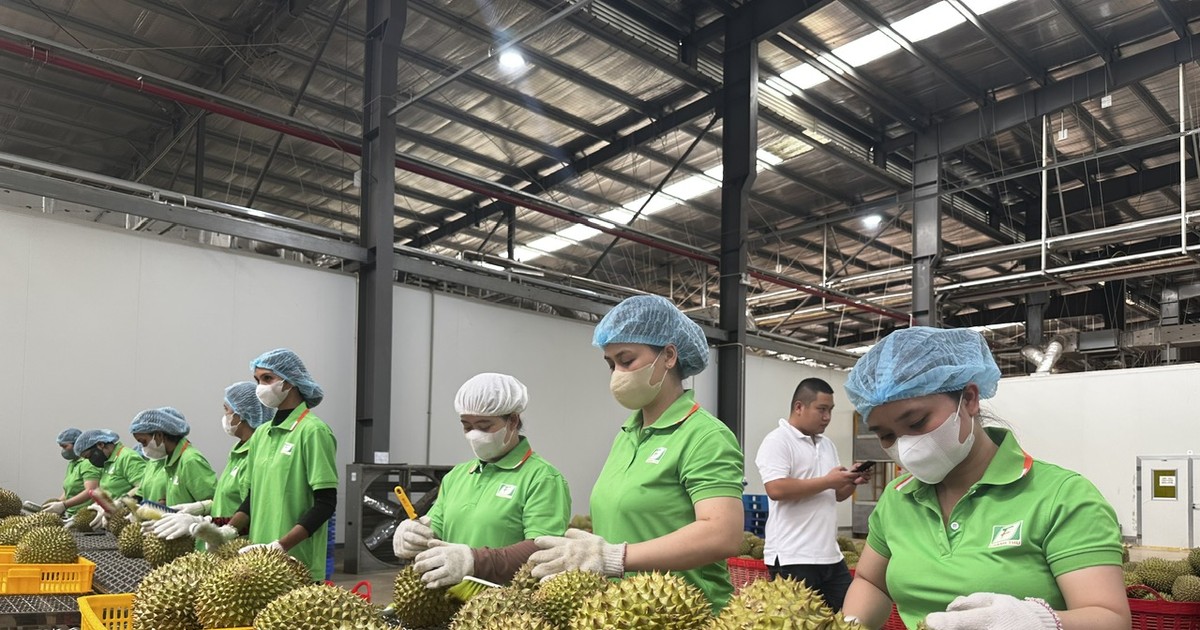 Việt Nam chia sẻ thông tin hệ thống truy xuất nguồn gốc nông sản với Trung Quốc