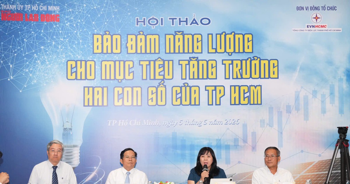 TP.HCM cần đa dạng nguồn cung điện