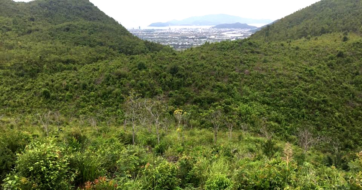 Chủ tịch UBND tỉnh Khánh Hòa: Phải thi hành 25 bản án hành chính còn tồn đọng trước ngày 31-3 - Báo Pháp Luật TP. Hồ Chí Minh