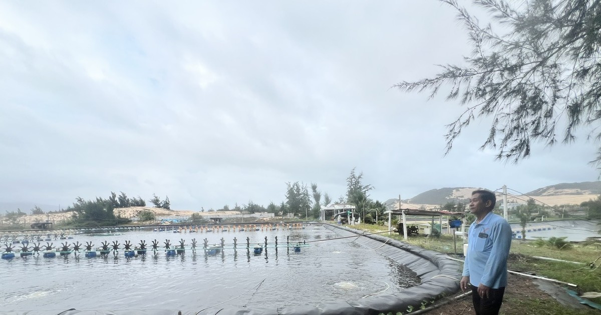 Nhận định của TAND tỉnh Khánh Hòa về việc tòa hình sự không có thẩm quyền hủy sổ hồng