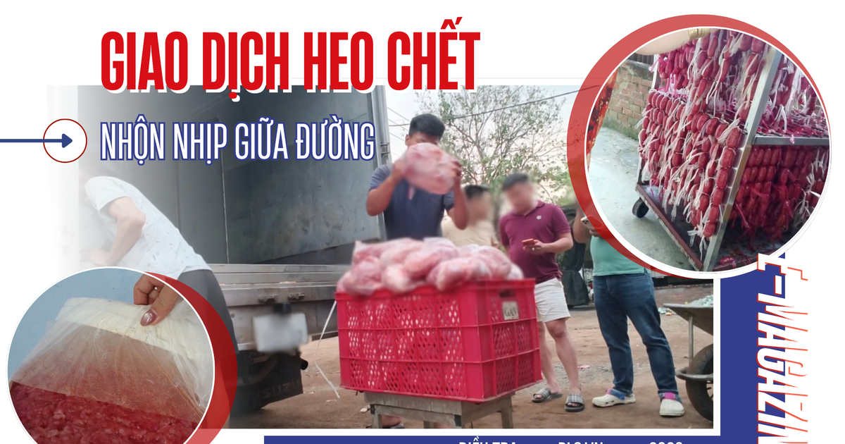 Điều tra: Thịt bẩn luồn lách đến bữa ăn - Kỳ 3: Thịt heo chết vào lò lạp xưởng