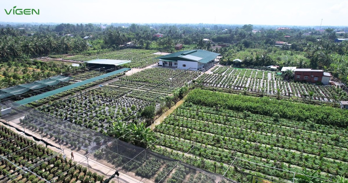 ViGen: Trung tâm nghiên cứu và sản xuất cây giống công nghệ cao trọng điểm