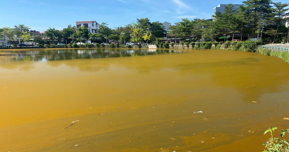 Mặt hồ Trái tim ở TP Huế xuất hiện lớp váng đặc quánh