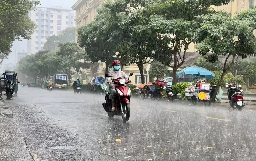 Bệnh mùa mưa tại Việt Nam