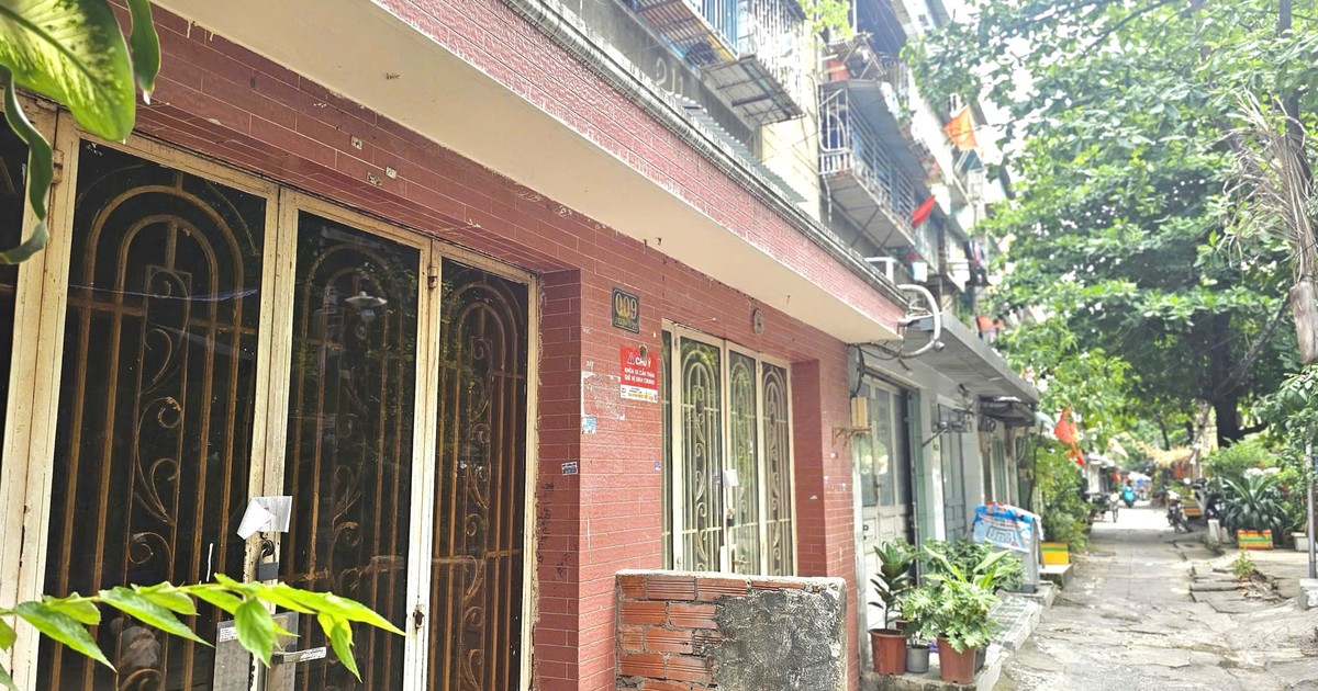 TP.HCM chấp thuận chủ trương di dời 6 lô chung cư thuộc Cư xá Thanh Đa