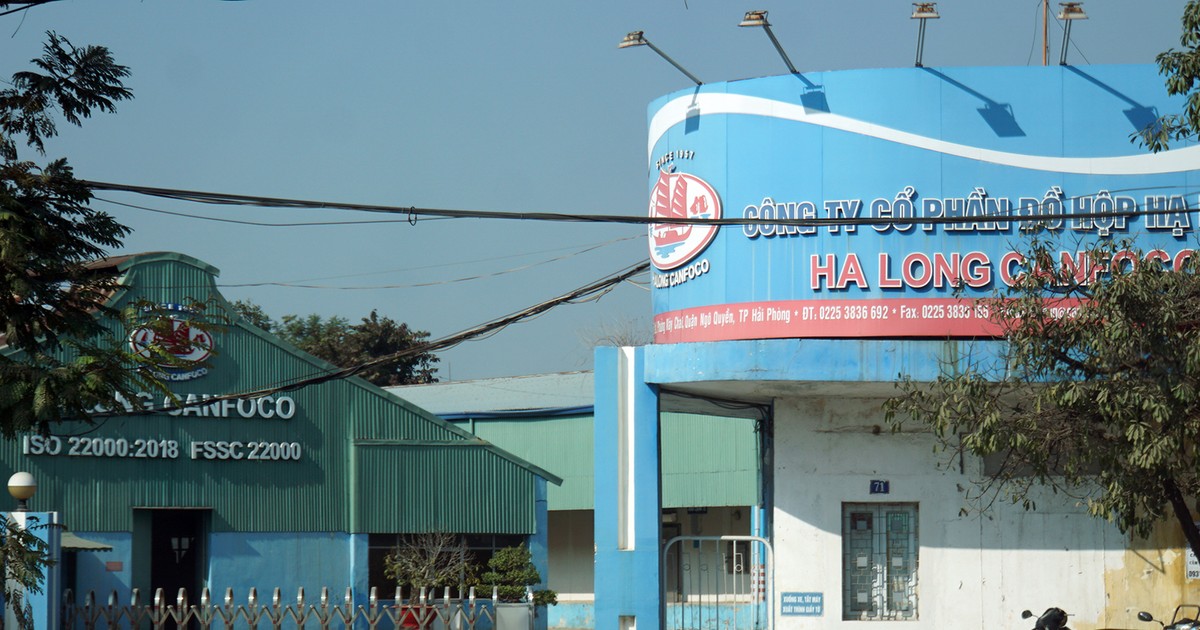 plo.vn