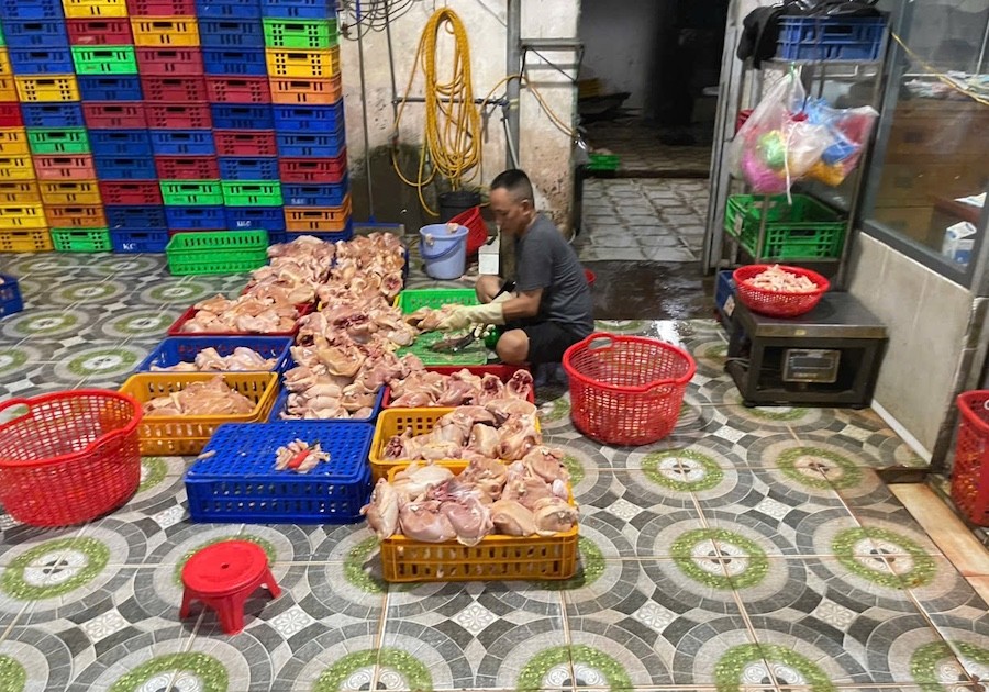 Bẻ lái' giấy kiểm dịch, cơ sở giết mổ trái phép hàng trăm con gà bị xử lý