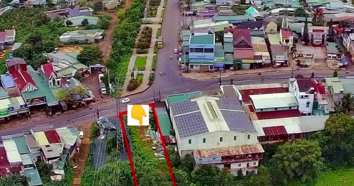 Hành trình 20 năm đòi công lý trong vụ cưỡng chế nhầm ở Lâm Đồng