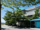 Chọn rèm che nắng cho mặt tiền ngôi nhà hướng Tây