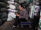 Lần đầu tiên người dân có thể vay tiền qua Zalo