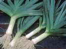 Cách trị tiểu đường cực dễ, hiệu quả không thể ngờ