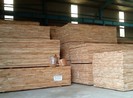 Điều tra 6 công ty nghi làm khống hồ sơ 'hàng hóa Việt Nam'