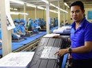 14 công ty mua bán hàng hóa với Asanzo đã bỏ trốn