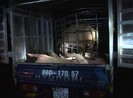 Chở nửa tấn heo bệnh đi tiêu thụ thì bị bắt giữ