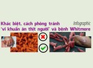 Phân biệt bệnh do ‘vi khuẩn ăn thịt người’ và bệnh whitmore